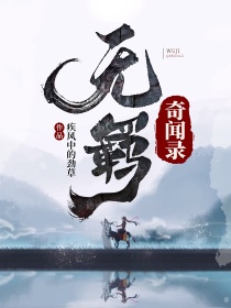 陈情令：无羁奇闻录