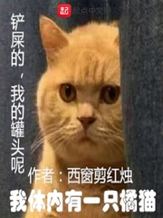 我体内有一只橘猫